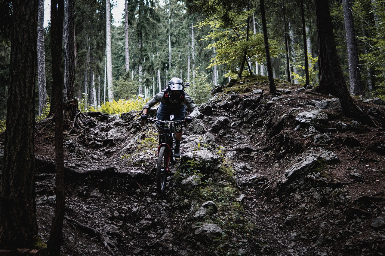 Downhill biciklizés a természetben