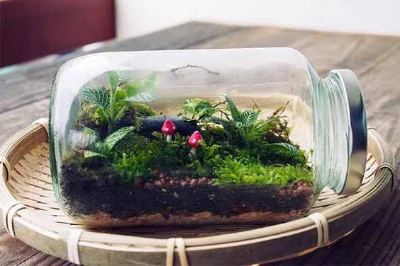 Florarium befőttesüvegben mini kerámia gombákkal