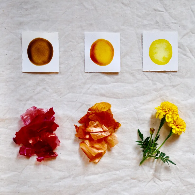 Különböző színek nöcényekből